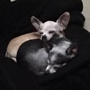 Meet your Posher, Alexandra